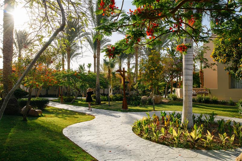 TUI MAGIC LIFE Redsina Sharm El Sheikh